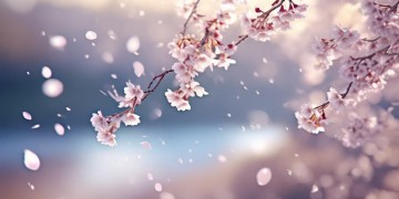 你是阳来我是情究竟是哪首歌？