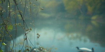 当我不再能够歌唱，世界会怎样？