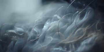 为失去而后悔究竟是哪首歌？