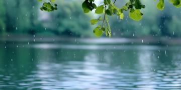下过雨的天是哪首歌里的歌词？