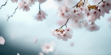 不要怕这句歌词出自什么歌呢？