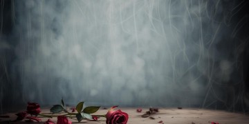 你走了我心都死了究竟是哪首歌？