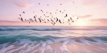 清晨的海浪和小鸟究竟是哪首歌？