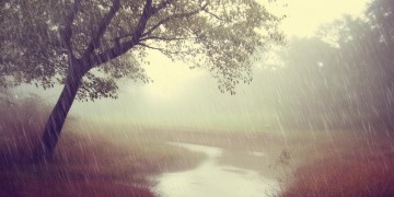 雨雾下的恋人是哪首歌？