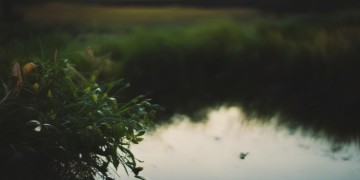 思念总是变得无力究竟是哪首歌？