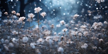 对你的爱非常疯狂究竟是哪首歌？