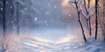 偶然与雪相遇究竟是哪首歌？