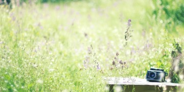 放个青春的照片究竟是哪首歌？