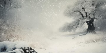 寒人心相爱过究竟是哪首歌？