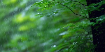 阵雨都是你的青春出自哪首歌？