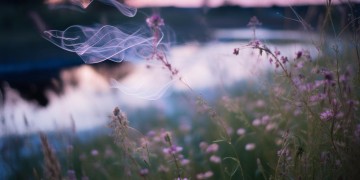 想你想吹的风出自哪首歌？
