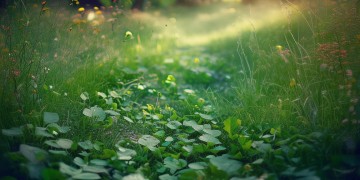 跟着我的脚步出自哪首歌？