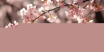今日听君歌究竟表达了什么？