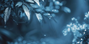 夜晚能想起谁是哪首粤语歌？