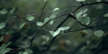 拥抱分开的画面究竟是哪首歌？