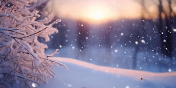 Snow究竟是哪首歌？