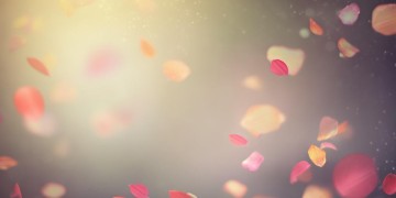 我们就好好爱自己这句歌词出自哪首歌？