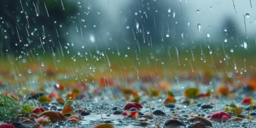 大雨和小雨是何种词性的歌？