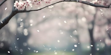 这辈子不一定还能遇见你出自哪首歌？