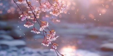 知否中最美的插曲究竟是哪首歌？
