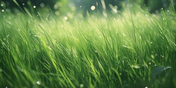 种草时代的来临究竟是什么歌？