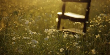 晒干的是沉默究竟出自哪首歌？