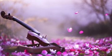 我这么美我不能哭究竟是哪首歌？