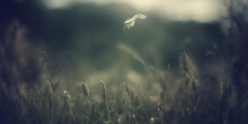 抬头望天空忧伤究竟是哪首歌？
