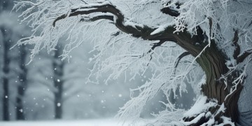 情怀容易冻究竟是哪首歌的歌词？