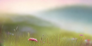 后天会美好究竟出自哪首歌？