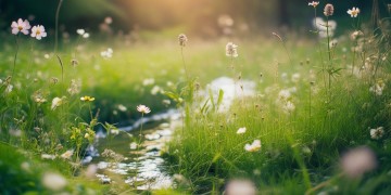 傻丫头过分的善良究竟是哪首歌？