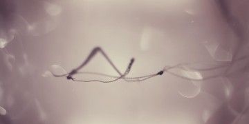 谁能懂你的柔情究竟是哪首歌？