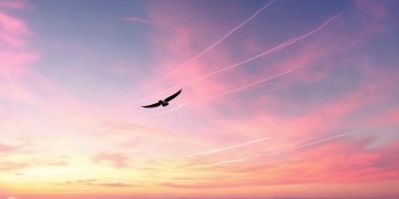 划破了长空这句歌词出自哪首歌？