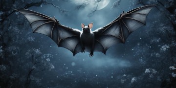 蝙蝠的片尾曲究竟是什么歌？