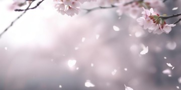 温柔亲不安究竟是哪首歌的歌词？