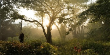 老男人唱的〈爱的箴言〉究竟是怎样一首歌？