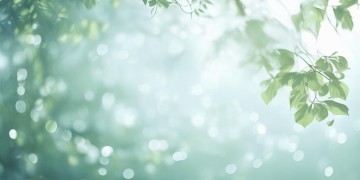 我对你的爱相恋究竟是哪首歌？