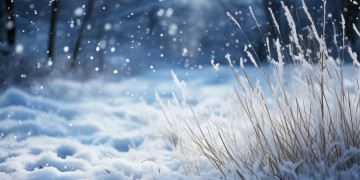 你是风雪出自哪首歌？