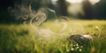 晴天里的片刻烦恼究竟是什么歌？