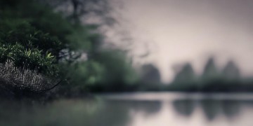 感觉没人值得依靠究竟是哪首歌？