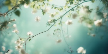 反正错爱一回究竟是哪首歌？