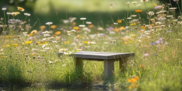 分手14年后再见究竟是哪首歌？